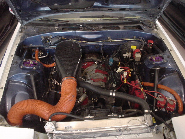 DSC00185.JPG